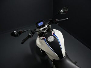 BMW G 310R