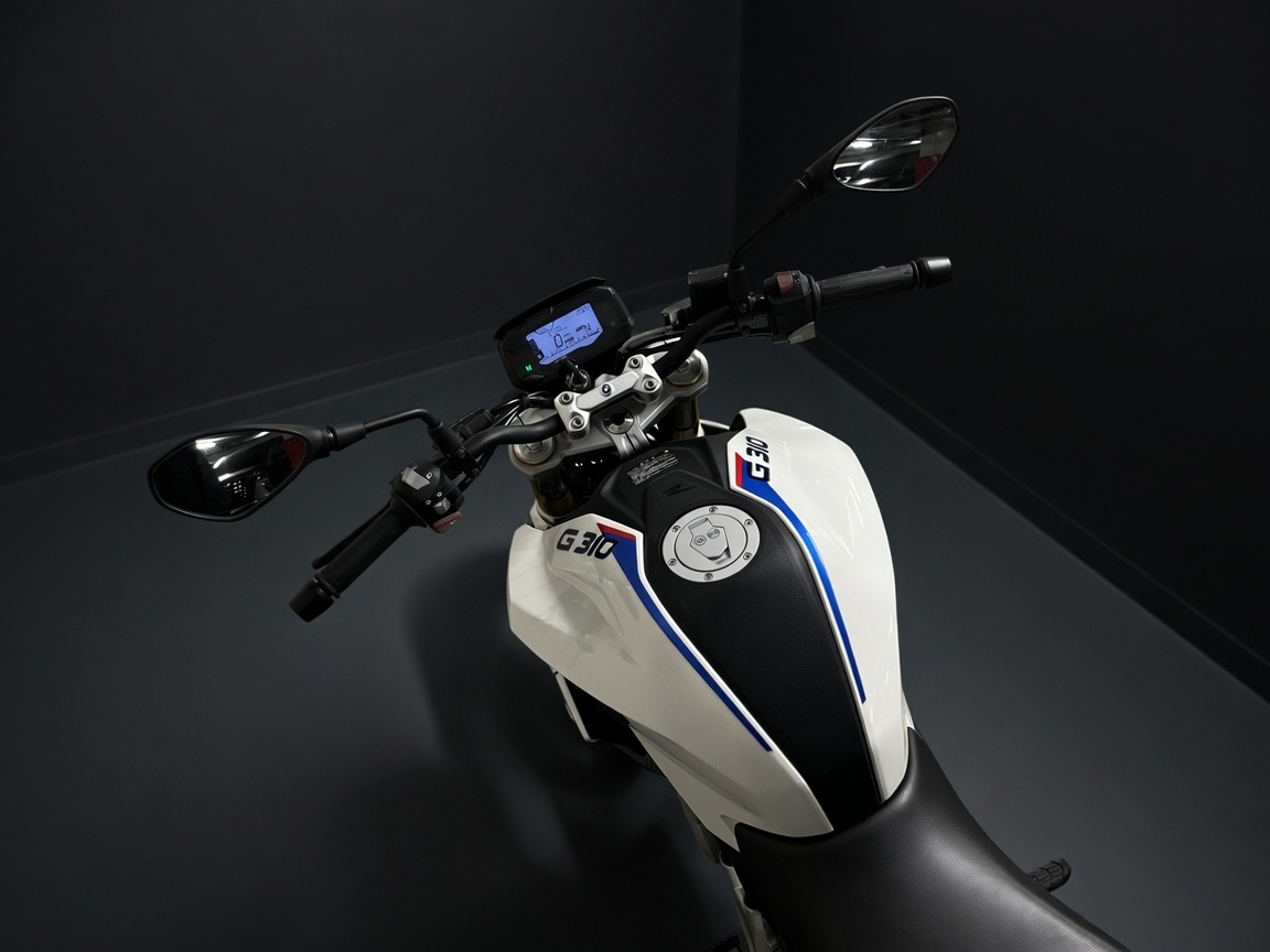 BMW G 310R