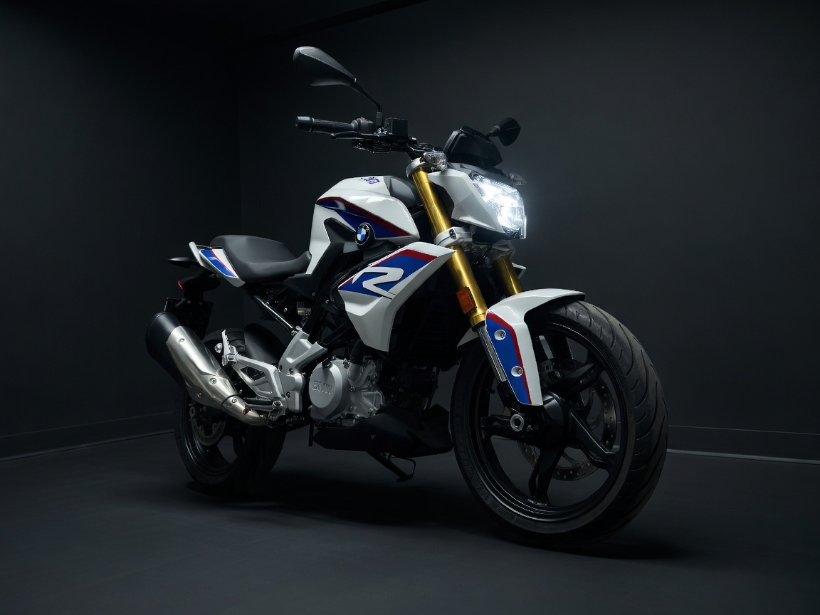 BMW G 310R