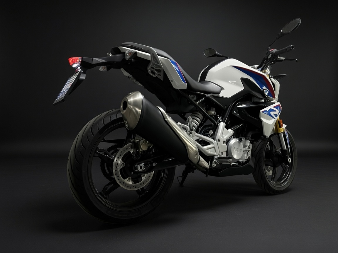 BMW G 310R